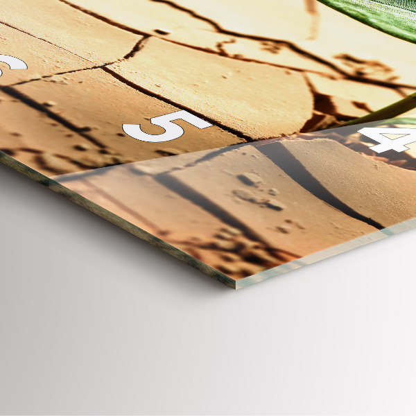 Kwadratowy zegar Roślina w suchej ziemi