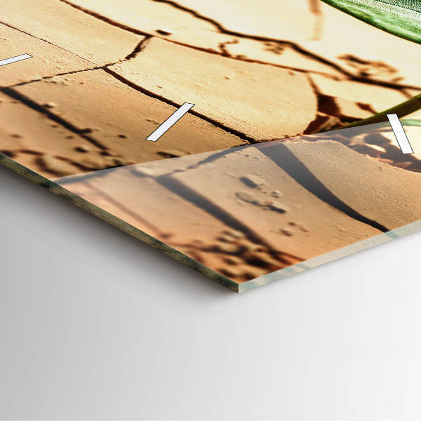 Kwadratowy zegar Roślina w suchej ziemi