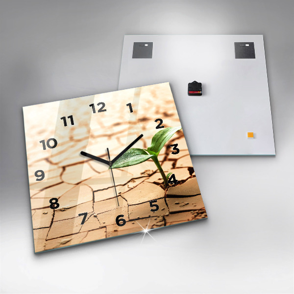 Kwadratowy zegar Roślina w suchej ziemi