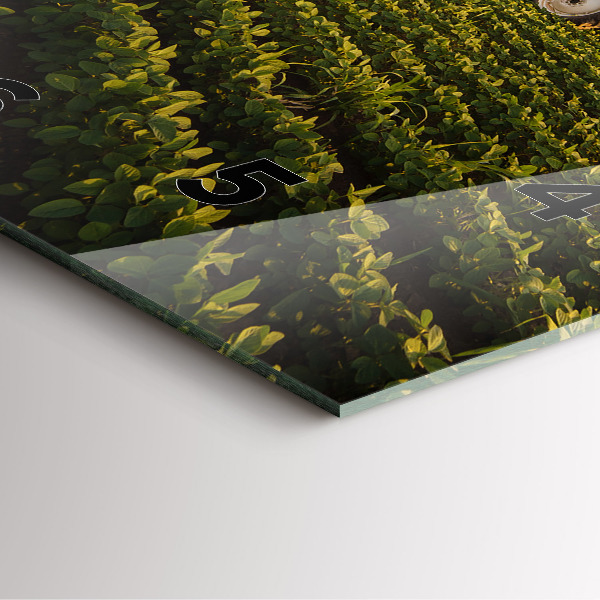 Zegar na ścianę kwadratowy Ciągnik na polu rolniczym