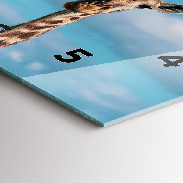 Zegar na ścianę kwadratowy Głowa żyrafy na tle nieba