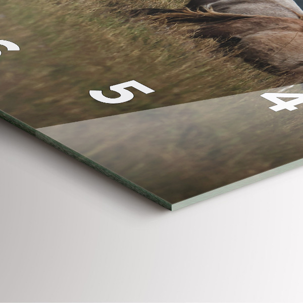 Zegar ścienny kwadratowy Konie w galopie