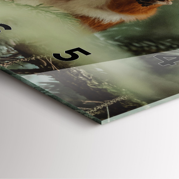 Zegar ścienny kwadratowy Wiewiórka i dzika natura