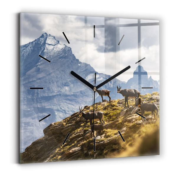 Zegar ścienny kwadratowy Koza w Dolinie Aosta