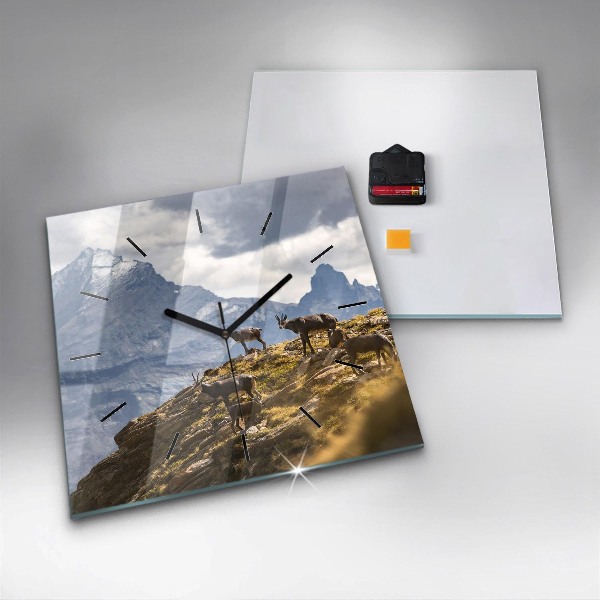 Zegar ścienny kwadratowy Koza w Dolinie Aosta