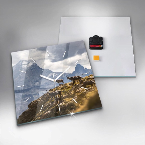 Zegar ścienny kwadratowy Koza w Dolinie Aosta
