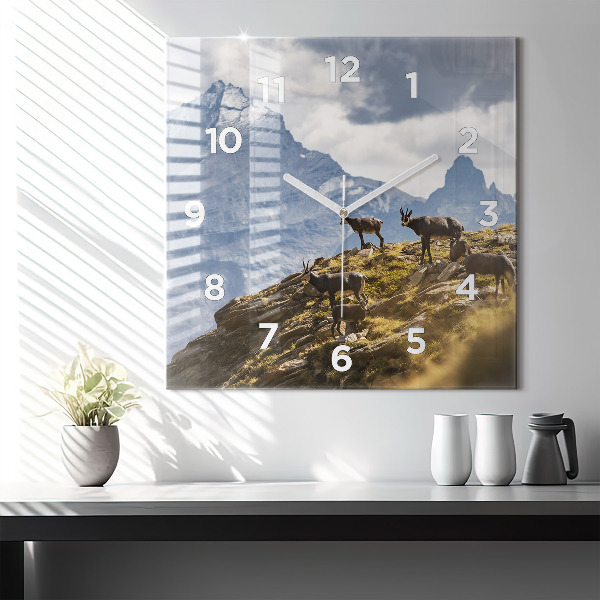 Zegar ścienny kwadratowy Koza w Dolinie Aosta