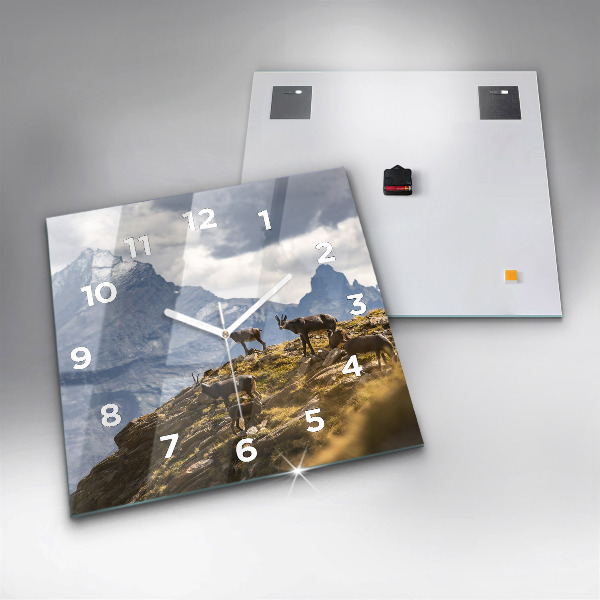 Zegar ścienny kwadratowy Koza w Dolinie Aosta
