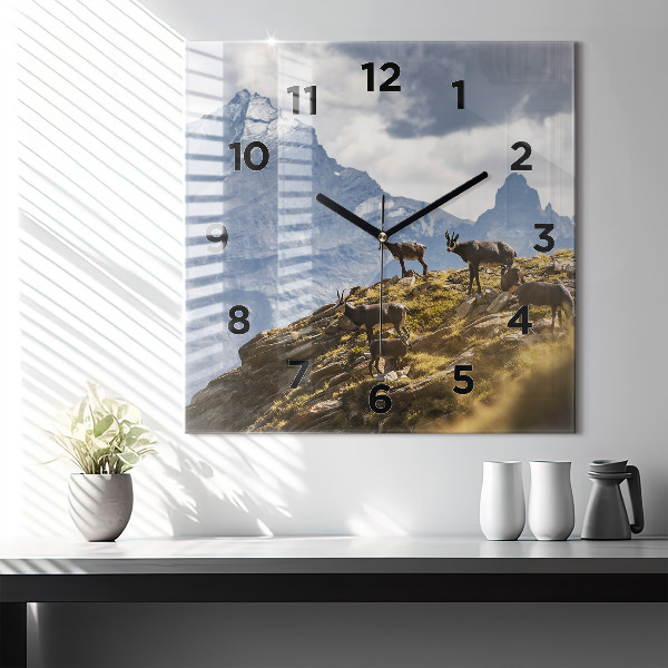 Zegar ścienny kwadratowy Koza w Dolinie Aosta
