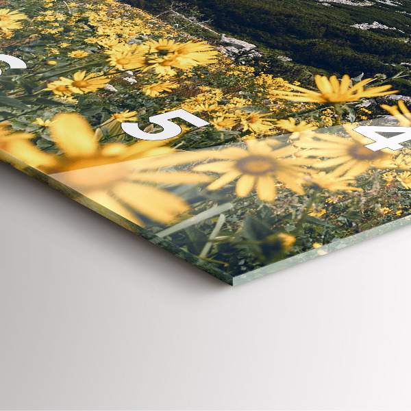 Zegar ścienny kwadratowy Łąka kwiaty w górach