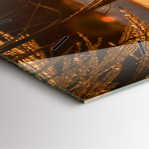 Zegar ścienny kwadratowy Pszenica w złotym słońcu