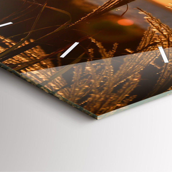 Zegar ścienny kwadratowy Pszenica w złotym słońcu