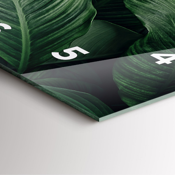 Zegar na ścianę kwadratowy Tropikalna monstera