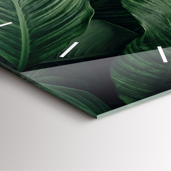 Zegar na ścianę kwadratowy Tropikalna monstera