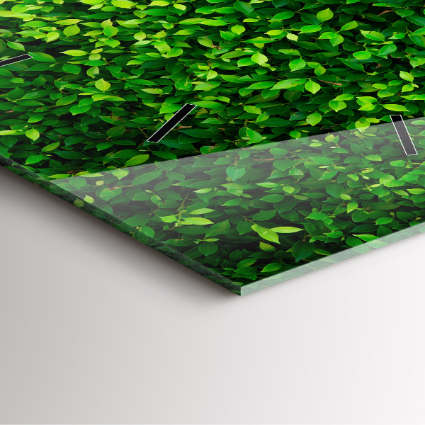 Zegar na ścianę kwadratowy Żywopłot liście