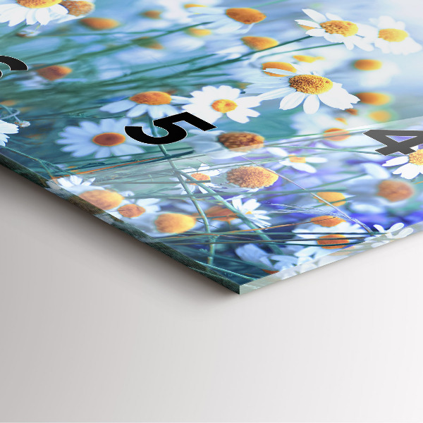 Zegar na ścianę kwadratowy Motyl na łące