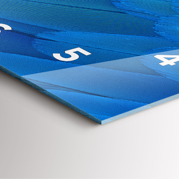 Kwadratowy zegar Pióro ptaka