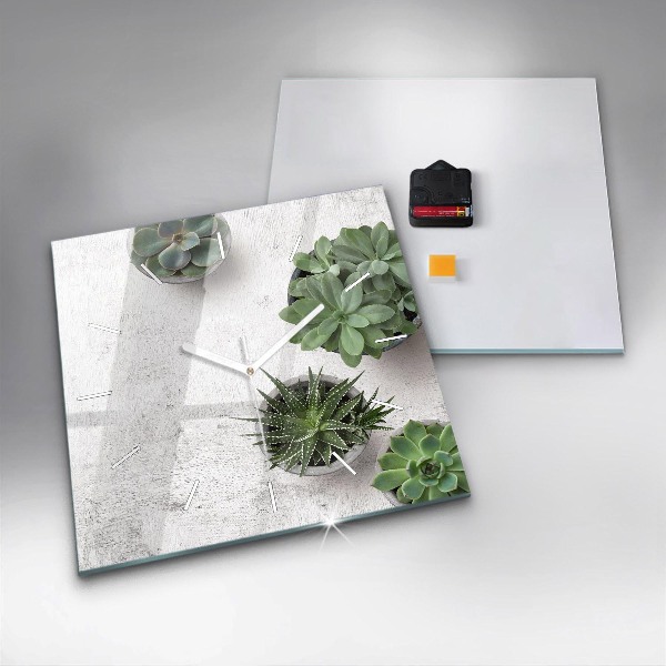 Kwadratowy zegar Rośliny dekoracyjne