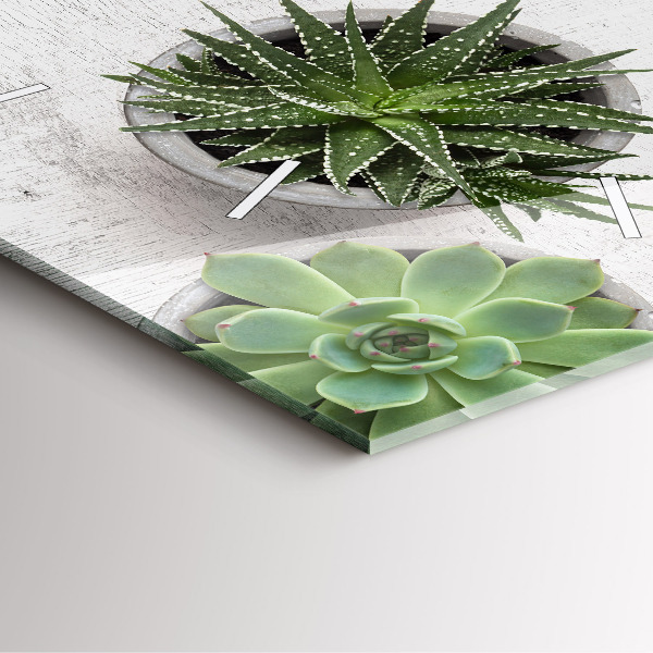 Kwadratowy zegar Rośliny dekoracyjne