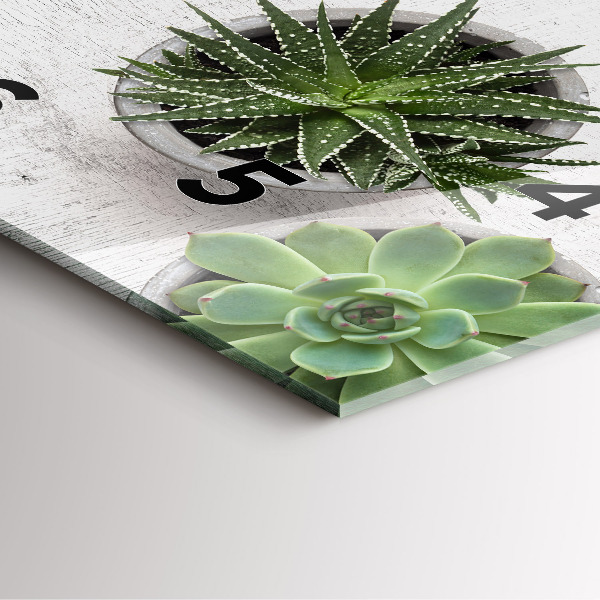 Kwadratowy zegar Rośliny dekoracyjne