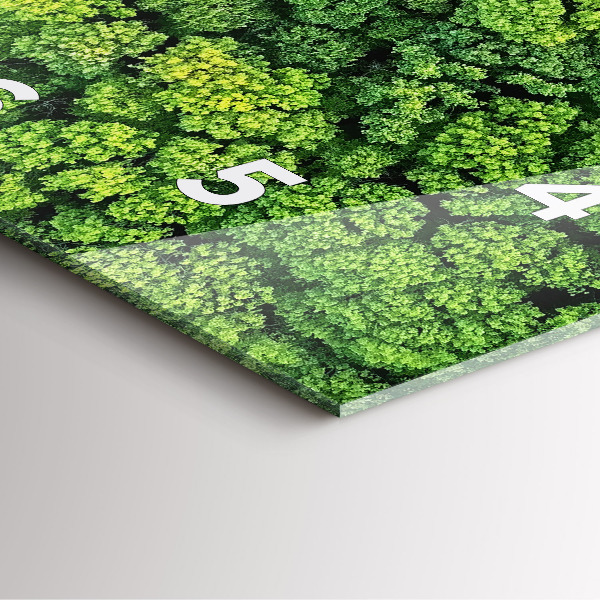 Kwadratowy zegar Las z góry