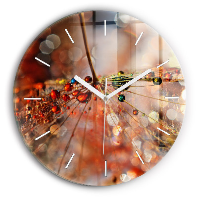 Zegar ścienny okrągły Dmuchawiec z rosą