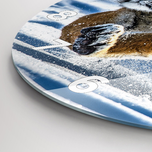 Zegar ścienny okrągły Skaczący tygrys