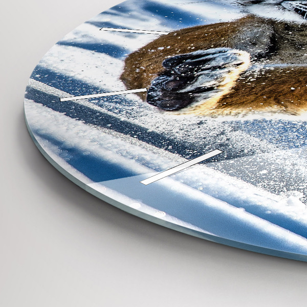 Zegar ścienny okrągły Skaczący tygrys