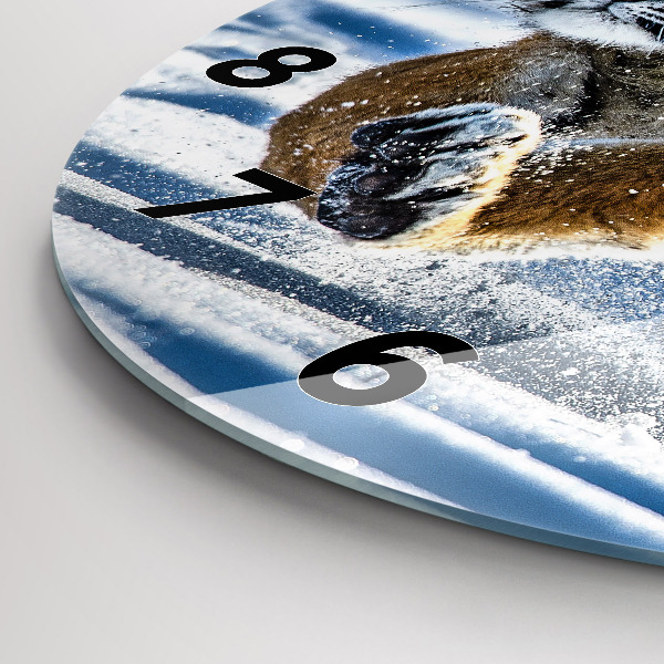 Zegar ścienny okrągły Skaczący tygrys