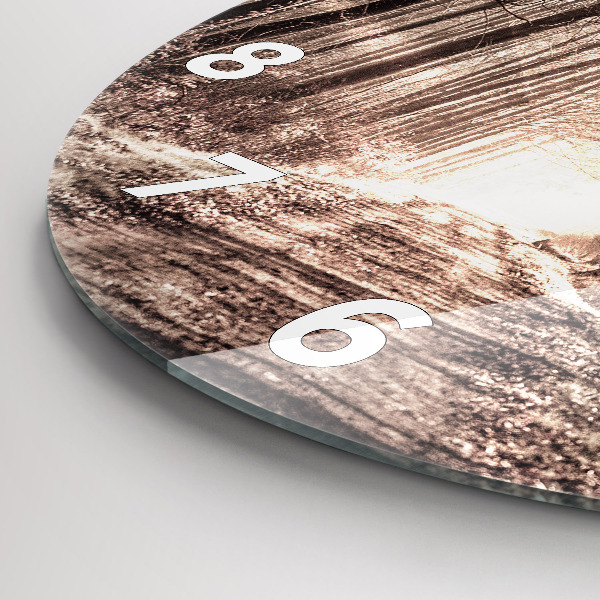 Zegar ścienny okrągły Ścieżka leśna w sepii