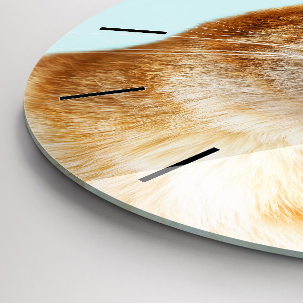 Zegar okrągły Śmieszny kot w okularach