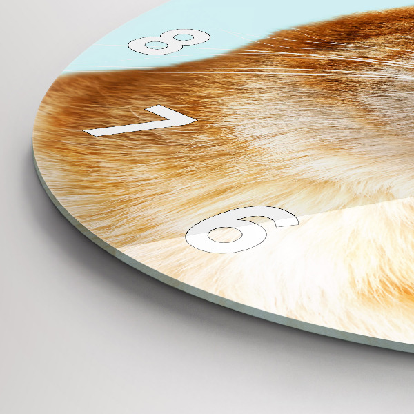 Zegar okrągły Śmieszny kot w okularach