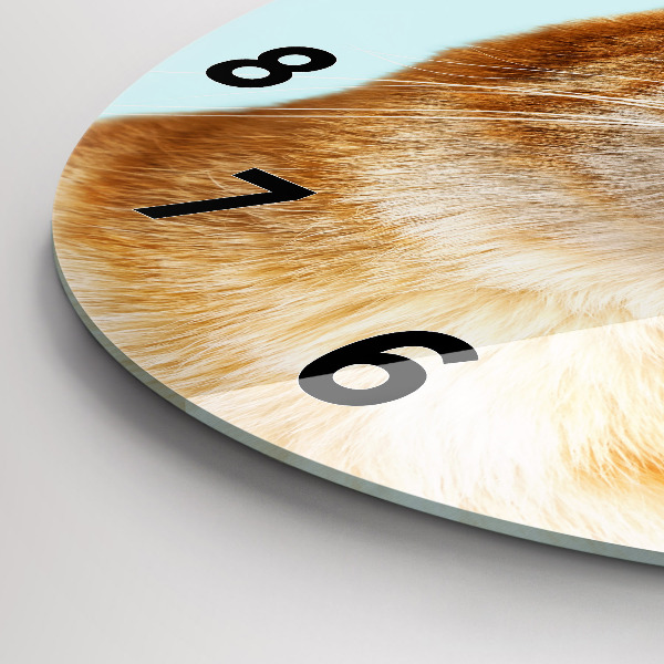 Zegar okrągły Śmieszny kot w okularach