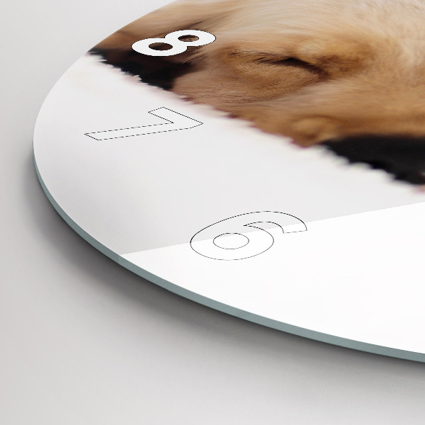 Zegar okrągły Śpiący kot i pies