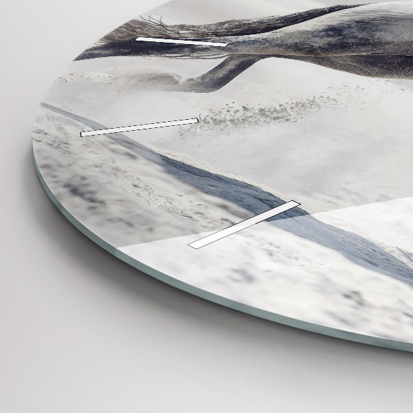 Zegar ścienny okrągły Galopujący biały koń