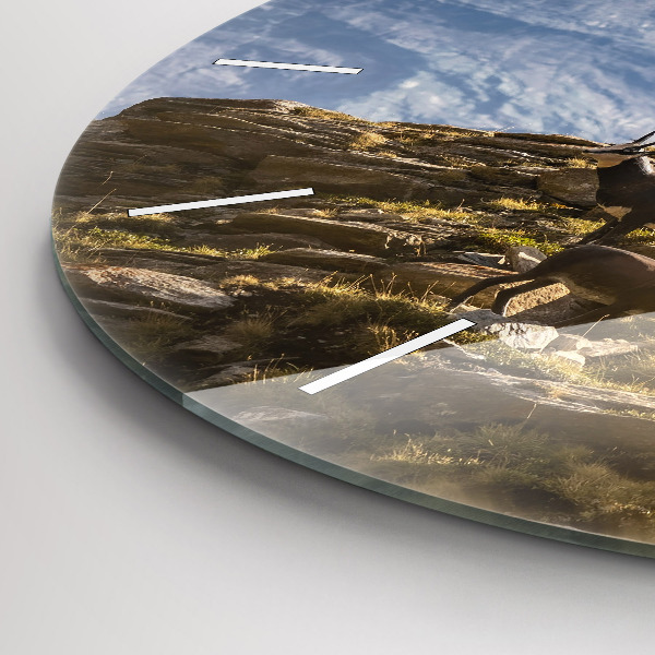 Zegar okrągły z nadrukiem Koza w Dolinie Aosta