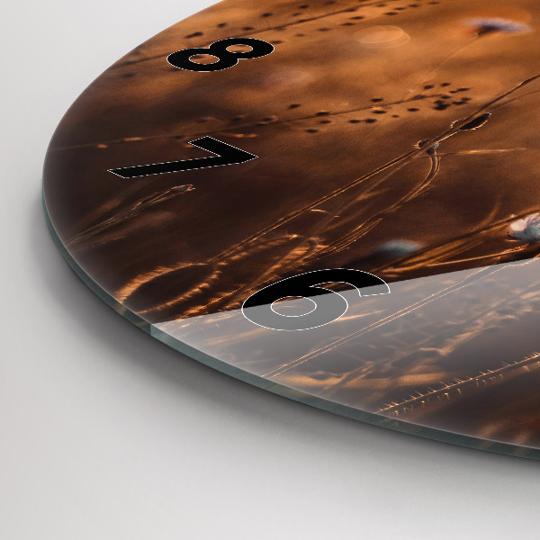 Zegar szklany okrągły Pole wschód słońca