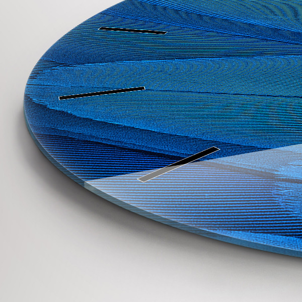 Zegar okrągły Pióro ptaka