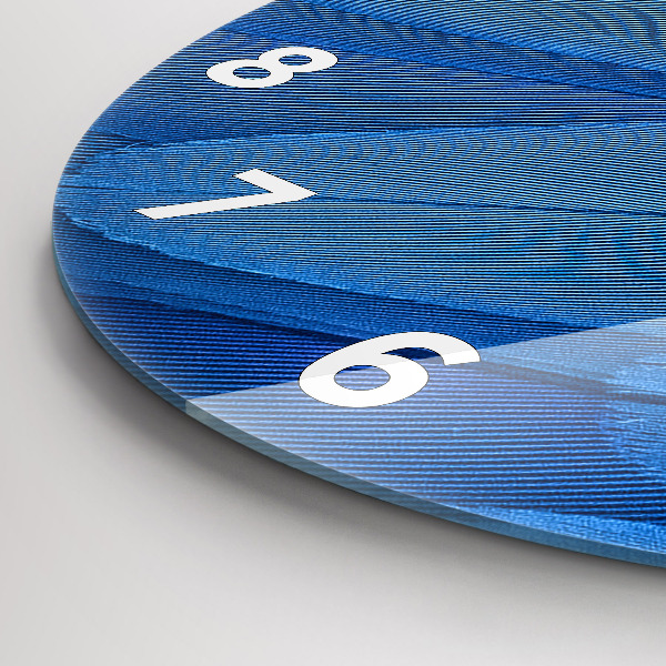 Zegar okrągły Pióro ptaka