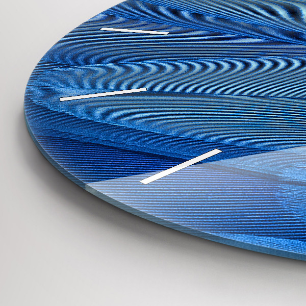 Zegar okrągły Pióro ptaka