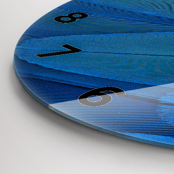 Zegar okrągły Pióro ptaka