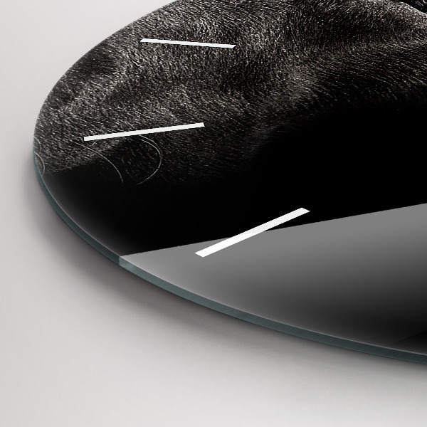 Zegar ścienny okrągły Pies i kot szkocki